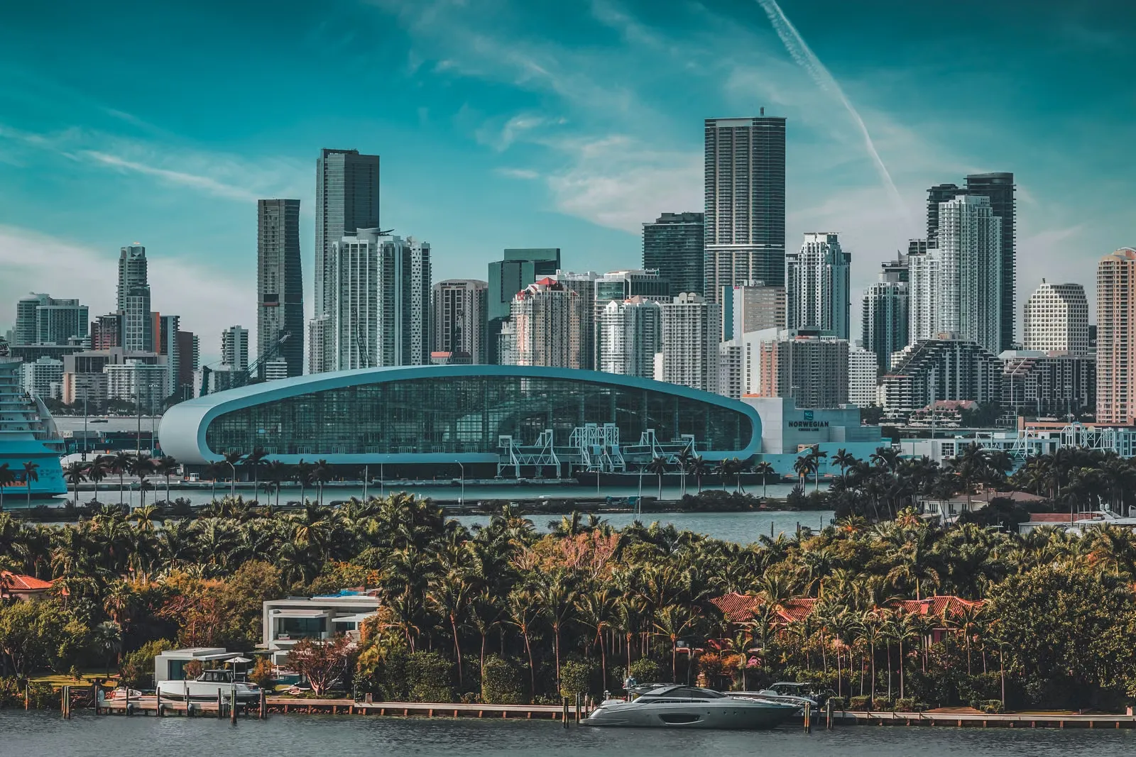Miami skyline and palm trees along the Florida waterfront