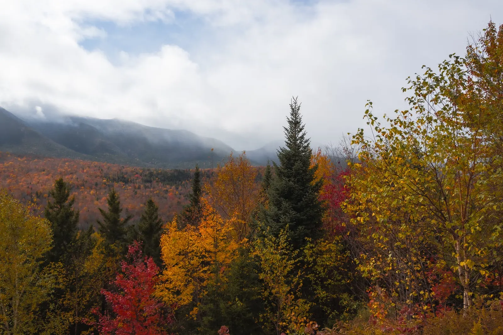 Fall foliage in the White Mountains of New Hampshire